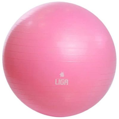 Μπάλα γυμναστικής 65cm Gym Ball ροζ LIGASPORT3