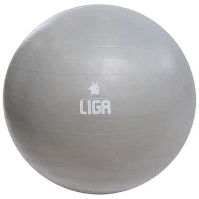 Μπάλα γυμναστικής 65cm Gym Ball γκρι LIGASPORT2
