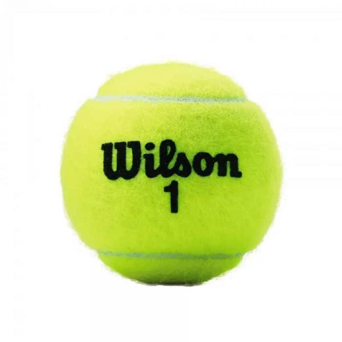 TUBE OF 4 TENNIS BALLS WILSON CHAMPIONSHIP XD 2a